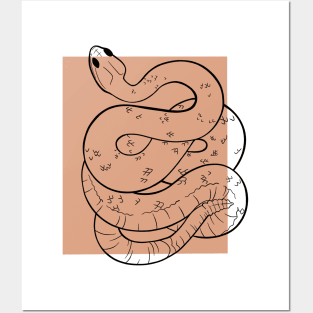 Rattlesnake with Peach Color Block Posters and Art